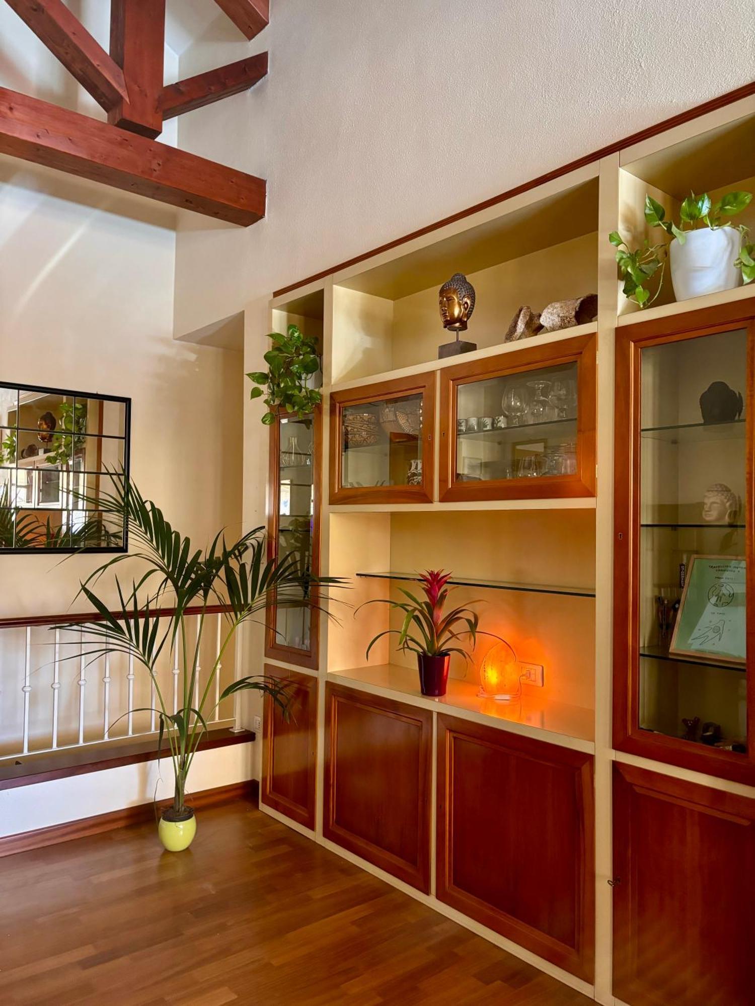 Botanic Home Cagliari Extérieur photo